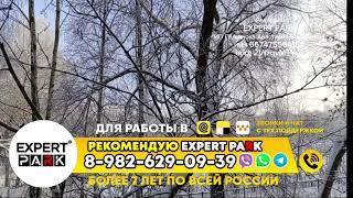 10 января. Яндекс такси. Смена 9,5 часов. Не разбогател, но в целом неплохо получилось.