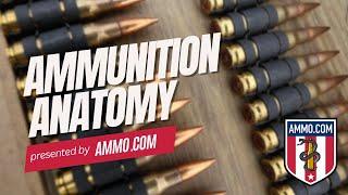 Ammo Anatomy 101: What Are the Basic Parts of Ammunition?