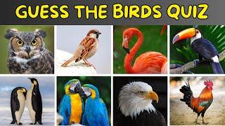 Guess The Birds Quiz | Birds Quiz