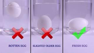 Testing Eggs for Good Quality (Test 1) | FSSAI