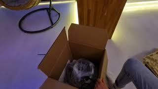 Thermomix TM6 Unboxing