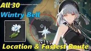 All 30 Wintry Bell Locations & FASTEST Farming Route | Wuthering Waves Farming Guide (1.0)