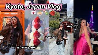 KYOTO, JAPAN VLOG  Food market, Fushimi Inari Shrine, Day Trip!