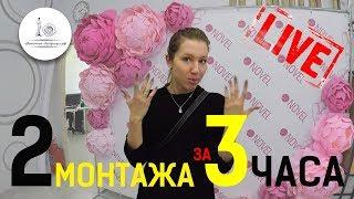 2 МОНТАЖА ЗА 3 ЧАСА! Красивые фотозоны из цветов!