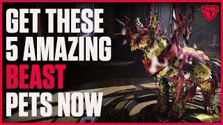 Warframe: 5 Amazing Pets You Need in Warframe Right Now - Beast Companions 2024 Reworked