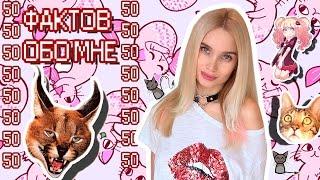 50 ФАКТОВ ОБО МНЕ | AVEME LISSA