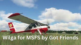 Wilga for MSFS by Got Friends Review