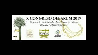 Paco Lorenzo. X Congreso Olearum 2017. Sant Vicenç de Calders (Tarragona)