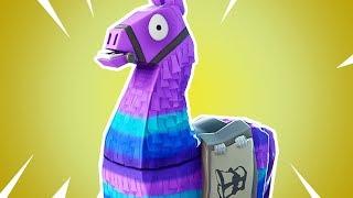 I found a llama.