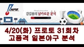 4월20일(화) 고품격 일본야구 분석 픽. 스포츠토토 배트맨 프로토 31회차.