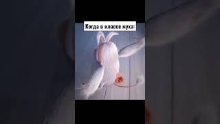 мухыч