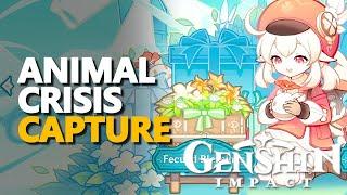 Animal Crisis Capture Genshin Impact