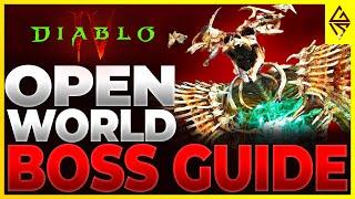 OPEN WORLD BOSS GUIDE Diablo 4 | How to beat Ashava, Avarice & Wandering Death | Bosses Explained