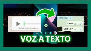 Cómo convertir audio a texto en whatsapp