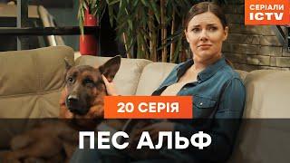 Пес Альф 1 сезон 20 серия | ДЕТЕКТИВЫ | СЕРИАЛ ICTV| КОМЕДИИ