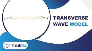 Transverse Wave Model | ThinkTac | Science Experiment