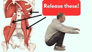 Releasing the Psoas and QL (quadratus lumborum) With One Exercise