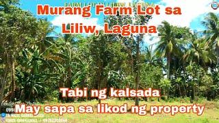 (P# 560) 4,600 sqms Farm Lot along  the road @ 500/sqm in Liliw, Laguna for sale