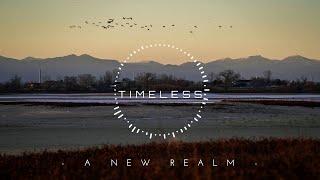 Timeless | Beautiful | New Age Chill Music 2024 Mix #newagechillmusic2024 #chilloutmusic2024