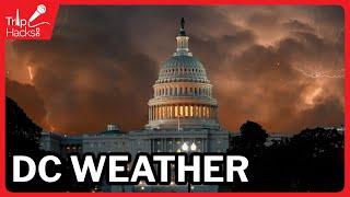 Washington DC Weather Guide for Tourists and Visitors