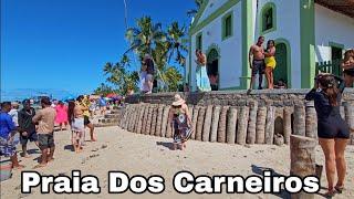 Praia Dos Carneiros Pernambuco Acesso Público E Almoço De 20 Reais