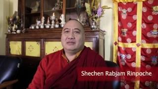 Shechen Rabjam Rinpoche on "Restore Shechen."