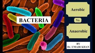 Aerobic Vs Anaerobic Bacteria by Dr. Umair Khan I Bacteriology I Microbiology