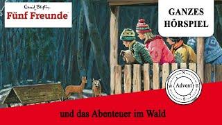 Fünf Freunde Adventskalender: Fünf Freunde und das Abenteuer im Wald | Ganzes Hörspiel