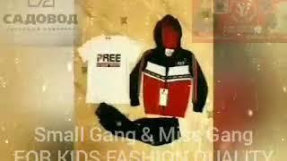 Small gang 1986