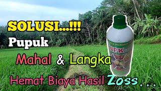 Petani Cerdas. Solusi Pupuk Mahal dan Langka. Pupuk Murah Tapi Tidak Murahan. Hemat Biaya Produksi