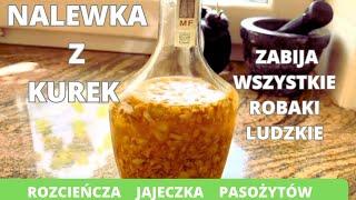 Nalewka z kurek-zabija wszystkie robaki ludzkie „rozcieńcza” jajeczka pasożytów, łagodna dla wątroby