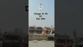 Things to do in Kashmir Dal Lake Srinagar