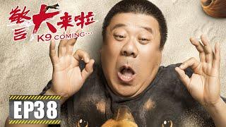 【励志】《警犬来啦 K9 Coming》第38集——梁粤重回工作岗位  派出所被分配新警犬