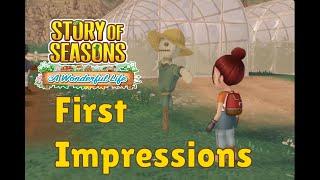 First Impressions of Story of Seasons A Wonderful Life!