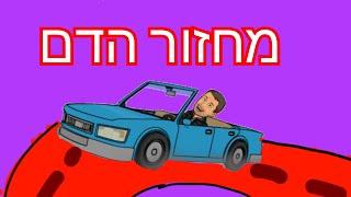 מחזור הדם