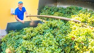 Facciamo il VINO 2022 