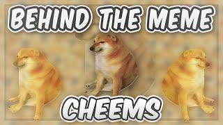 Behind The Meme: Cheems [Meme Explained]