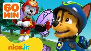 PAW Patrol Forest Rescues & Adventures! w/ Chase and Marshall  1 Hour Compilation | Nick Jr.