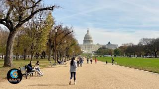 Washington D.C., USA  Iconic Landmarks & Historic Walking Tour | 4K Immersive Audio