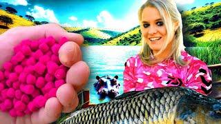 Big Carp Fishing Tips & Baits South Africa - Rietvlei Dam