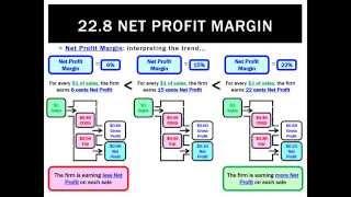 22.8 Net Profit Margin