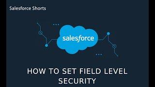 How to set Field Level Security in Salesforce