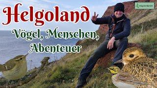 HELGOLAND - Vögel, Menschen, Abenteuer!!! | NaturDoku | ReiseDoku | Oktober 2024 | KOMMT MIT! #natur