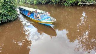 Stop taxi, di dalam hutan, pedalaman kalimantan tengah