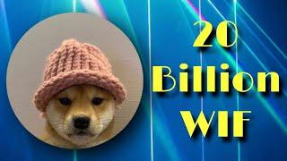 WIF Bull Market Top & Analysis! #dogwifhat #crypto #priceprediction