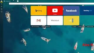 Yandex Browser -  Configuración y muestra