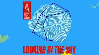 Emanuel Satie, Maga, Sean Doron, Tim Engelhart, Yulia Niko - Looking In The Sky (ft. Paul Brenning)