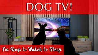 Dog TV for Dogs to Watch to Sleep [Water and Nature Sounds]