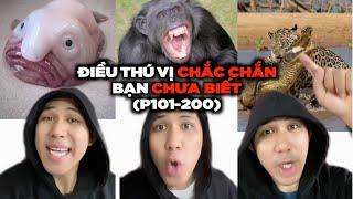 TẤT CẢ Những Điều Thú Vị Có Thể Bạn Chưa Biết (Phần 101-200)