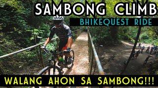 Sambong Climb | Hari ng AHON | Bikequest Ride